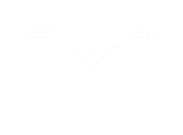 Vertex Hidrossemeadura